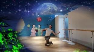 月光下凤尾竹舞蹈视频